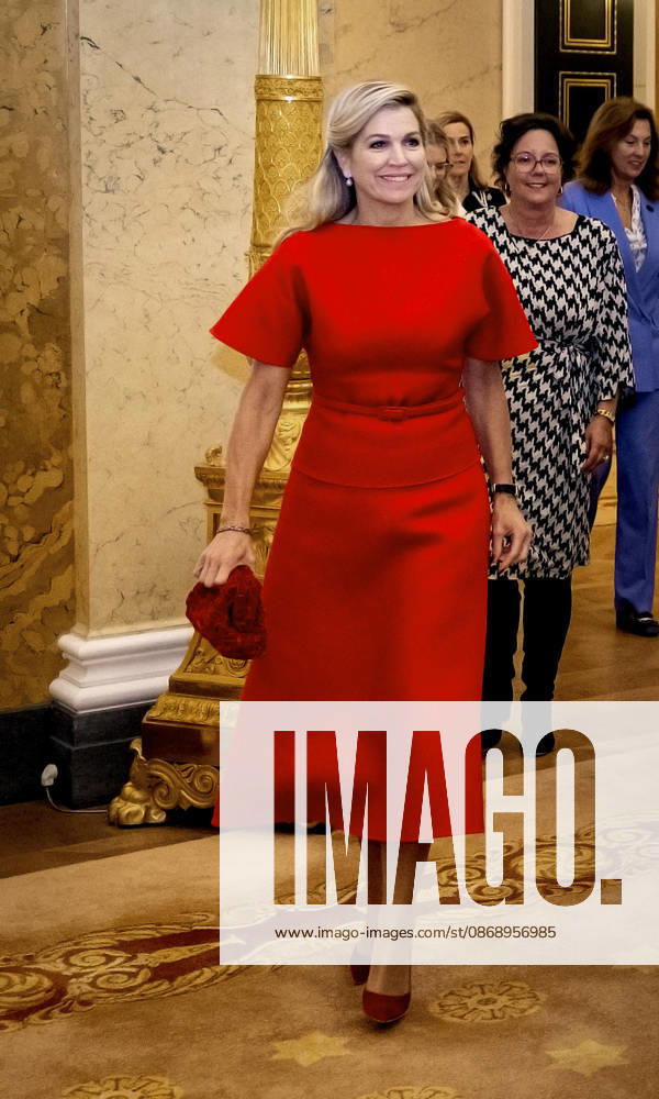 Palace Queen Maxima presented the 2026 Appeltjes van Oranje awards at palace Noordeinde in The Hague. Winner Mega D youth foundation Â