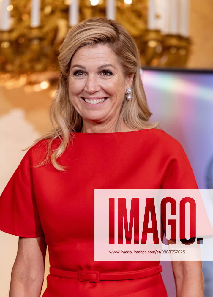 Palace Queen Maxima presented the 2026 Appeltjes van Oranje awards at palace Noordeinde in The Hague. Â