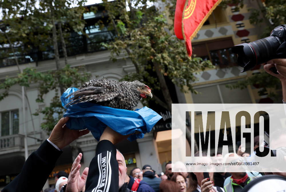Demonstration Against the Proposed Territorial Reform in Tirana, Albania. A protester holds up a chicken during an anti-government protest against the government s administrative and territorial reform, in front of the Parliament building in Tirana, Albania, on October 8, 2026. Light Studio Agency Malton Dibra Tirana Albania