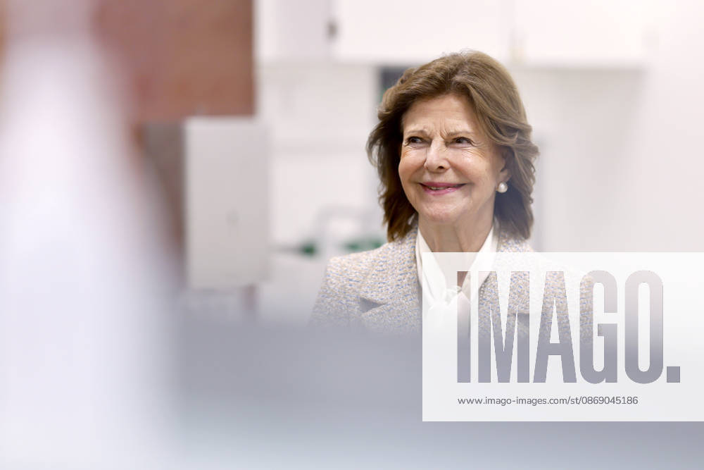 Queen Silvia of Sweden during her visit to the Luisen Gymnasium in Düsseldorf. The Queen attended the Luisen Gymnasium in Düsseldorf during her school years; today, it is located in a new building at a different site. Düsseldorf, October 9, 2026, North Rhine-Westphalia, Germany