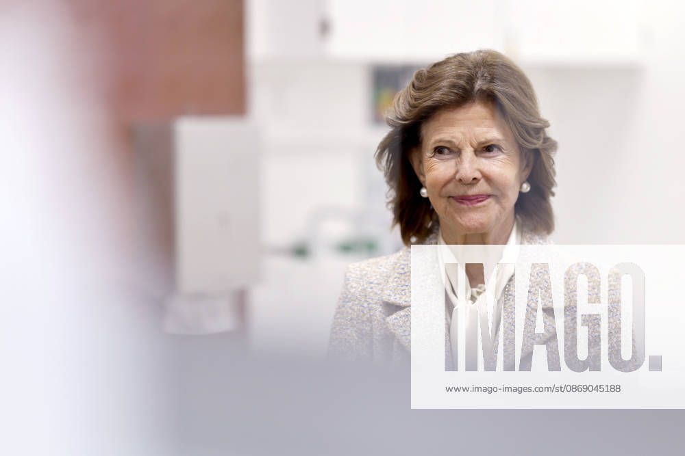 Queen Silvia of Sweden during her visit to the Luisen Gymnasium in Düsseldorf. The Queen attended the Luisen Gymnasium in Düsseldorf during her school years; today, it is located in a new building at a different site. Düsseldorf, October 9, 2026, North Rhine-Westphalia, Germany