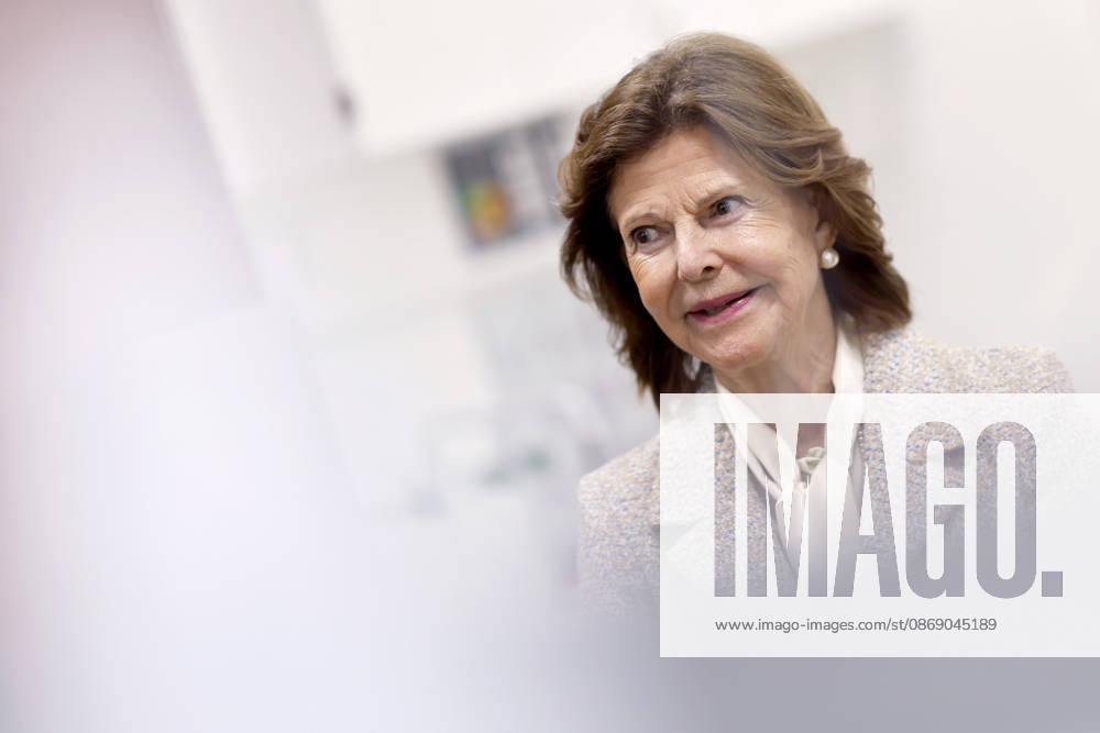 Queen Silvia of Sweden during her visit to the Luisen Gymnasium in Düsseldorf. The Queen attended the Luisen Gymnasium in Düsseldorf during her school years; today, it is located in a new building at a different site. Düsseldorf, October 9, 2026, North Rhine-Westphalia, Germany