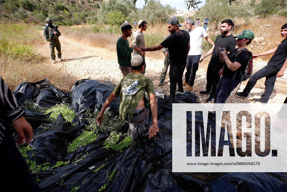 Clashes erupt between Israeli settlers and Palestinian farmers in West Bank RAMALLAH, WEST BANK - OCTOBER 9: Clashes break out between Israeli settlers, accompanied by Israeli soldiers, and Palestinian farmers harvesting olives in the town of Deir Ibzi, near Ramallah in West Bank, on October 9, 2026. The incident reportedly involved damage to olive crops and provocative actions by the settlers. Issam Rimawi Anadolu West Bank Palestine. Editorial use only. Please get in touch for any other usage.