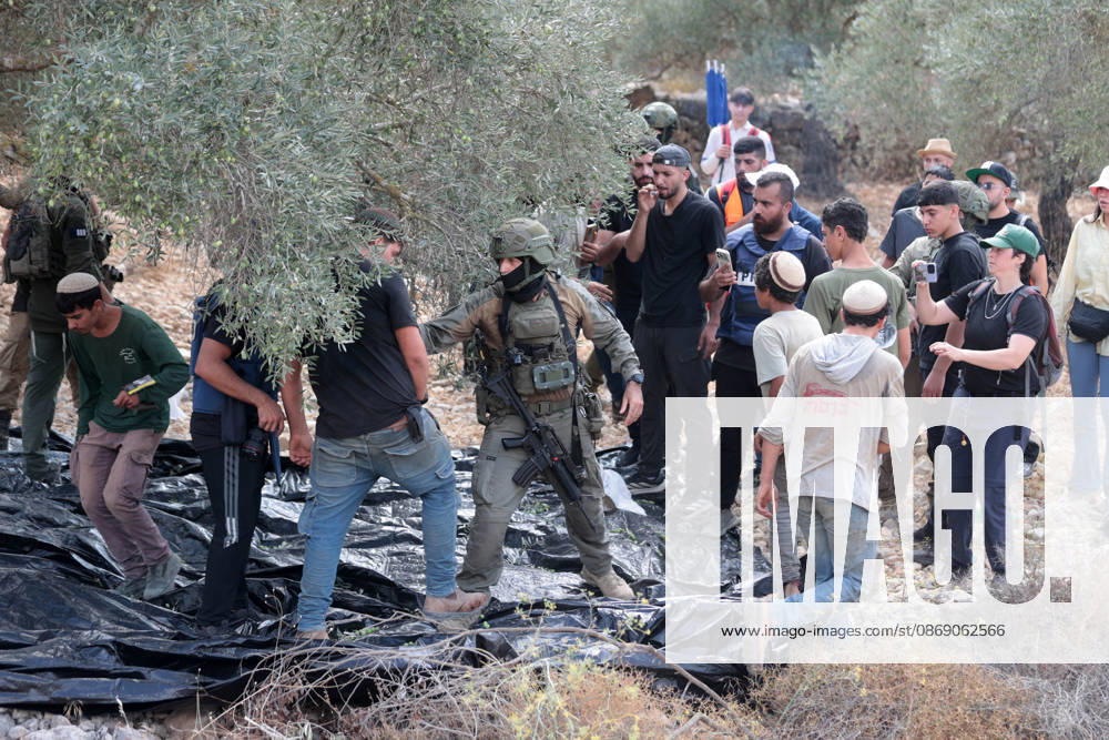 Clashes erupt between Israeli settlers and Palestinian farmers in West Bank RAMALLAH, WEST BANK - OCTOBER 9: Clashes break out between Israeli settlers, accompanied by Israeli soldiers, and Palestinian farmers harvesting olives in the town of Deir Ibzi, near Ramallah in West Bank, on October 9, 2026. The incident reportedly involved damage to olive crops and provocative actions by the settlers. Issam Rimawi Anadolu Ramallah West Bank. Editorial use only. Please get in touch for any other usage.