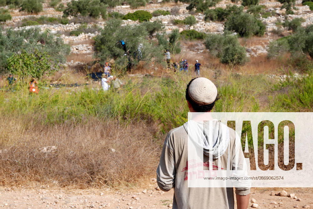 Clashes erupt between Israeli settlers and Palestinian farmers in West Bank RAMALLAH, WEST BANK - OCTOBER 9: Clashes break out between Israeli settlers, accompanied by Israeli soldiers, and Palestinian farmers harvesting olives in the town of Deir Ibzi, near Ramallah in West Bank, on October 9, 2026. The incident reportedly involved damage to olive crops and provocative actions by the settlers. Issam Rimawi Anadolu Ramallah West Bank. Editorial use only. Please get in touch for any other usage.