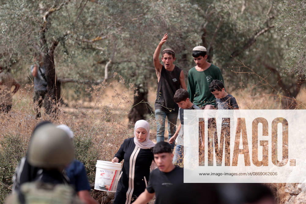 Clashes erupt between Israeli settlers and Palestinian farmers in West Bank RAMALLAH, WEST BANK - OCTOBER 9: Clashes break out between Israeli settlers, accompanied by Israeli soldiers, and Palestinian farmers harvesting olives in the town of Deir Ibzi, near Ramallah in West Bank, on October 9, 2026. The incident reportedly involved damage to olive crops and provocative actions by the settlers. Issam Rimawi Anadolu Ramallah West Bank. Editorial use only. Please get in touch for any other usage.
