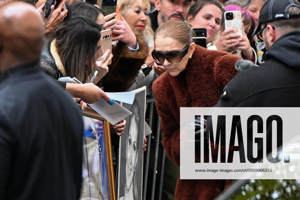 Céline Dion spent some time with her fans at the Royal Monceau Hotel in Paris, France, before heading to the event venue. Céline Dion spends time with fans before going to the venue, the Royal Monceau Hotel in Paris, France 460344 2026 10 09 PARIS France