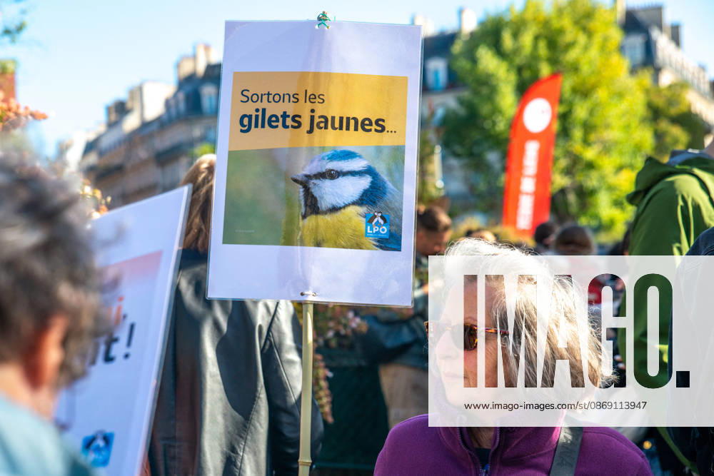 Environmental Activists Protest EU Pesticide Regulation - Paris Environmental organizations including Greenpeace, Cancer Colere, Collectif de soutien aux victimes des pesticides, Confédération paysanne, Avenir Sante Environnement and Medecins du Monde gather at Place de l Europe in Paris, France on October 10, 2026, to oppose the EU s proposed Omnibus X regulation that would extend pesticide approval durations, with activists warning the text would increase exposure to hazardous substances for humans, ecosystems, food and territories. Photo by ABACAPRESS.COM
