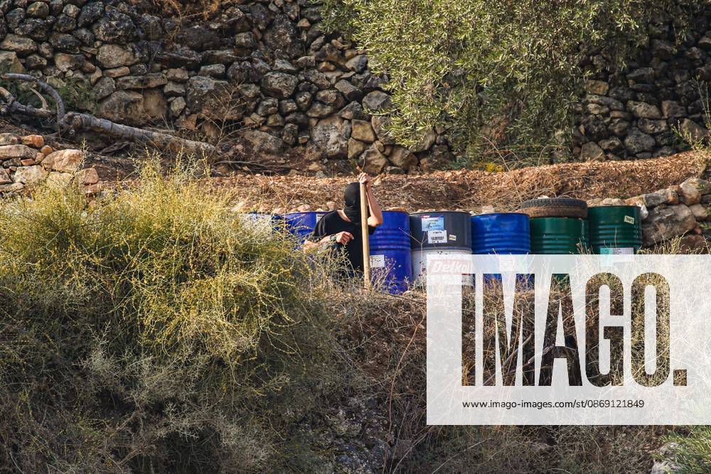 DEIR ABU MASHÃ¢â‚¬â ¢AL, PALESTINE Ã¢â‚¬ OCTOBER 10, 2026: Palestinian farmers came under attack by Israeli settlers and Israeli forces as they headed to harvest olives on their land in Deir Abu MashÃ¢â‚¬â ¢al, northwest of Ramallah. The event marked the villageÃ¢â‚¬â ¢s first olive harvest gathering of the new season. The Palestine Red Crescent Society reported that its teams treated nine people injured during the incident. The injuries included one caused by live ammunition to the thigh, two caused by rubber-coated metal bullets, and six resulting from physical assault. One of those struck by a rubber-coated metal bullet was photojournalist Issam Al-Rimawi. The incident occurred during the annual olive harve - ZUMAq101 20261010_zna_q101_067