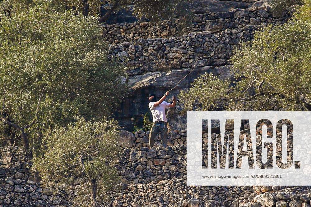 DEIR ABU MASHâ€⠢AL, PALESTINE †OCTOBER 10, 2026: Palestinian farmers came under attack by Israeli settlers and Israeli forces as they headed to harvest olives on their land in Deir Abu Mashâ€⠢al, northwest of Ramallah. The event marked the villageâ€⠢s first olive harvest gathering of the new season. The Palestine Red Crescent Society reported that its teams treated nine people injured during the incident. The injuries included one caused by live ammunition to the thigh, two caused by rubber-coated metal bullets, and six resulting from physical assault. One of those struck by a rubber-coated metal bullet was photojournalist Issam Al-Rimawi. The incident occurred during the annual olive harve - ZUMAq101 20261010_zna_q101_069