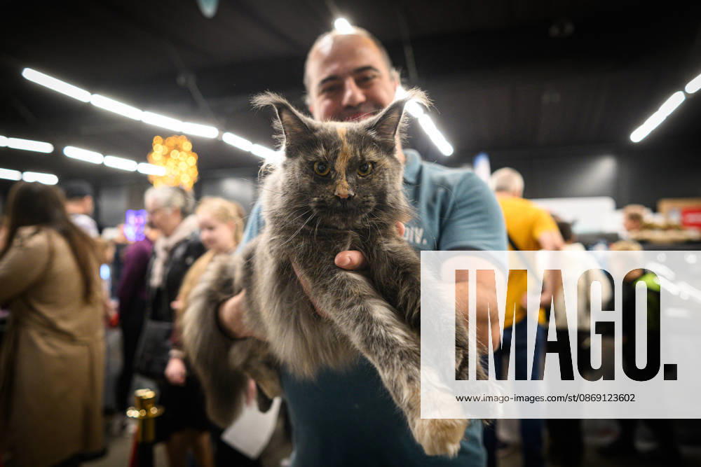 2026 WCF Jubilee Cat Show - Day 1 Owner holds his cat during the day one of 2026 WCF Jubilee Cat Show in Zagreb, Croatia on October 10, 2026. DavorxPuklavec PIXSELL
