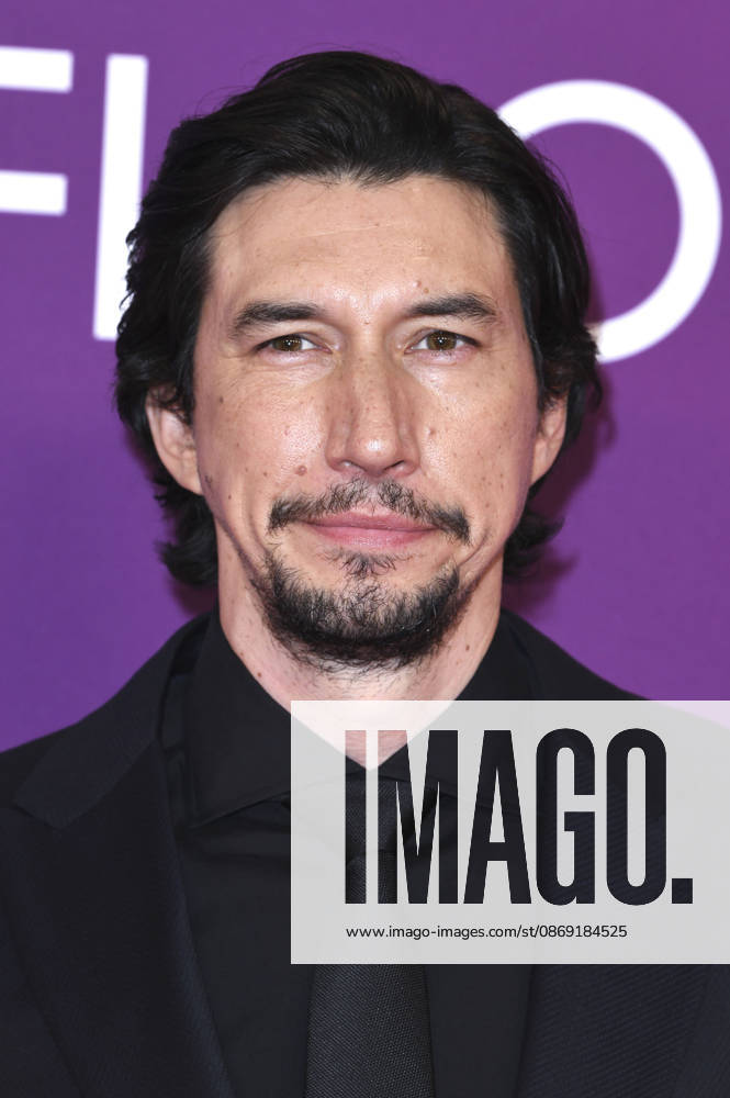 Adam Driver at the premiere of the film *Paper Tiger* at the 70th BFI London Film Festival 2026 at the Royal Festival Hall in London, October 10, 2026 Foto:xS.xFuturexImagex paper_6016