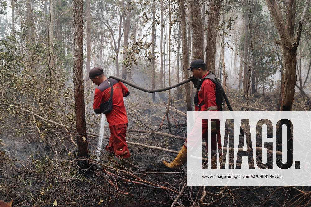 Firefighters battle forest fire in Central Kalimantan PALANGKA RAYA, CENTRAL KALIMANTAN, INDONESIA, OCTOBER 11, 2026: Members of Indonesia s Manggala Agni forest fire brigade work to extinguish a forest fire in the Sebangau area of Palangka Raya, Central Kalimantan. The firefighting team has been responding to fires affecting forests and community land in the region during the dry season. kalimantan Indonesia