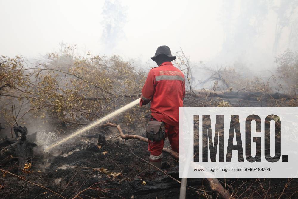 Firefighters battle forest fire in Central Kalimantan PALANGKA RAYA, CENTRAL KALIMANTAN, INDONESIA, OCTOBER 11, 2026: Members of Indonesia s Manggala Agni forest fire brigade work to extinguish a forest fire in the Sebangau area of Palangka Raya, Central Kalimantan. The firefighting team has been responding to fires affecting forests and community land in the region during the dry season. kalimantan Indonesia