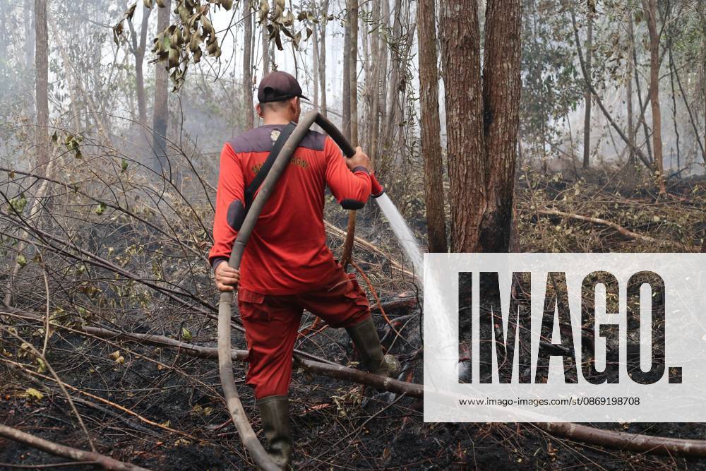 Firefighters battle forest fire in Central Kalimantan PALANGKA RAYA, CENTRAL KALIMANTAN, INDONESIA, OCTOBER 11, 2026: Members of Indonesia s Manggala Agni forest fire brigade work to extinguish a forest fire in the Sebangau area of Palangka Raya, Central Kalimantan. The firefighting team has been responding to fires affecting forests and community land in the region during the dry season. kalimantan Indonesia