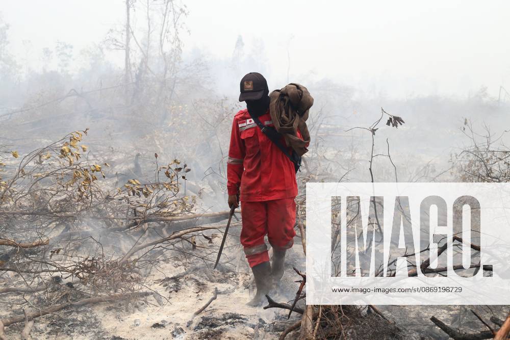 PALANGKA RAYA, CENTRAL KALIMANTAN, INDONESIA, OCTOBER 11, 2026: Members of Indonesia s Manggala Agni forest fire brigade work to extinguish a forest fire in the Sebangau area of Palangka Raya, Central Kalimantan. The firefighting team has been responding to fires affecting forests and community land in the region during the dry season. Kalimantan Indonesia - ZUMAq101 20261011_zna_q101_122