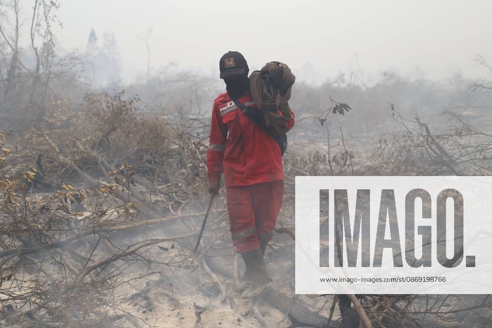 PALANGKA RAYA, CENTRAL KALIMANTAN, INDONESIA, OCTOBER 11, 2026: Members of Indonesia s Manggala Agni forest fire brigade work to extinguish a forest fire in the Sebangau area of Palangka Raya, Central Kalimantan. The firefighting team has been responding to fires affecting forests and community land in the region during the dry season. Kalimantan Indonesia - ZUMAq101 20261011_zna_q101_123