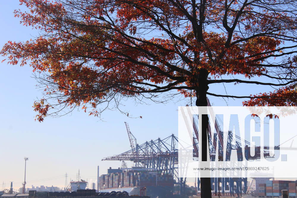 Feature: The Economy in Fall 2026