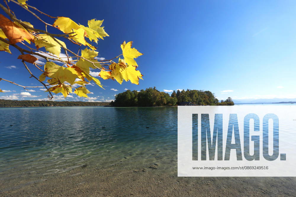 An autumn day in Feldafing, Feldafinger Park, Starnberg District. Here is a view of Lake Starnberg with Rose Island; on the left, maple leaves, colorful trees, fall foliage, deciduous trees, autumnal, play of colors, autumn leaves, fall colors, leaf coloration, red, yellow, red foliage, yellow foliage, natural spectacle, autumn scene, autumn impression, weather scene, golde