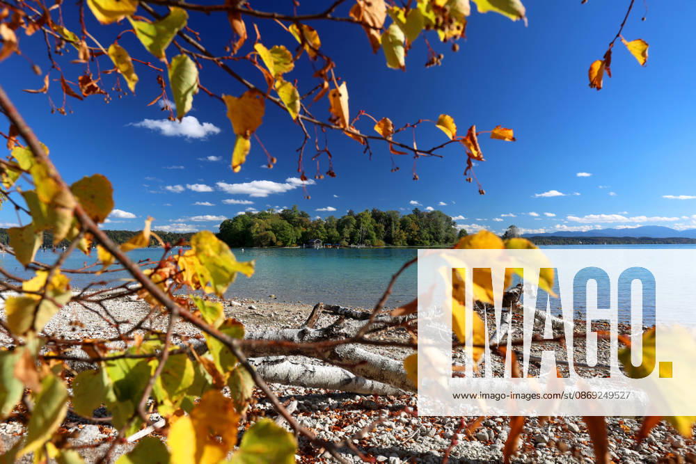 An autumn day in Feldafing, Feldafinger Park, Starnberg District. Here is a view of Lake Starnberg with Rose Island and colorful trees, fall foliage, deciduous trees, autumnal, play of colors, autumn leaves, fall colors, leaf coloration, red, yellow, red foliage, yellow foliage, natural spectacle, autumn scene, autumn impression, weather scene, golden October