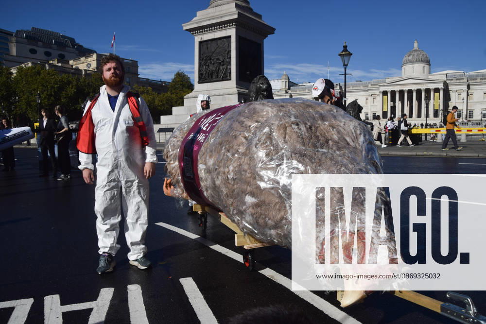 Protesters pass through Trafalgar Square with a giant wrapped chicken during the march to Pret headquarters urging the fast food chain to drop Frankenchickens. Frankenchickens are chickens mostly raised on factory farms who are bred to grow much faster and who are said to suffer far more than regular chickens. London United Kingdom - ZUMAv130 20261013_zip_v130_030