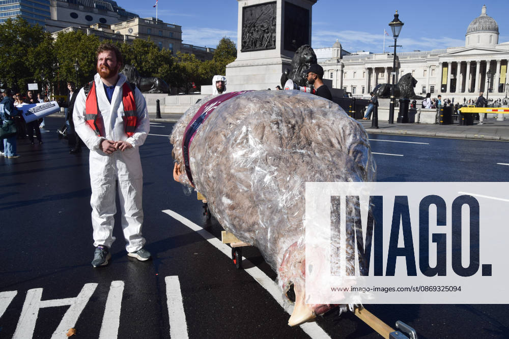 Protesters pass through Trafalgar Square with a giant wrapped chicken during the march to Pret headquarters urging the fast food chain to drop Frankenchickens. Frankenchickens are chickens mostly raised on factory farms who are bred to grow much faster and who are said to suffer far more than regular chickens. London United Kingdom - ZUMAv130 20261013_zip_v130_032
