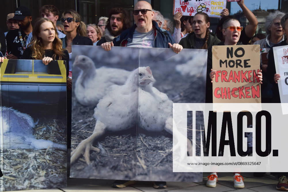 Protesters gather outside Pret headquarters urging the fast food chain to drop Frankenchickens. Frankenchickens are chickens mostly raised on factory farms who are bred to grow much faster and who are said to suffer far more than regular chickens. London United Kingdom - ZUMAv130 20261013_zip_v130_044