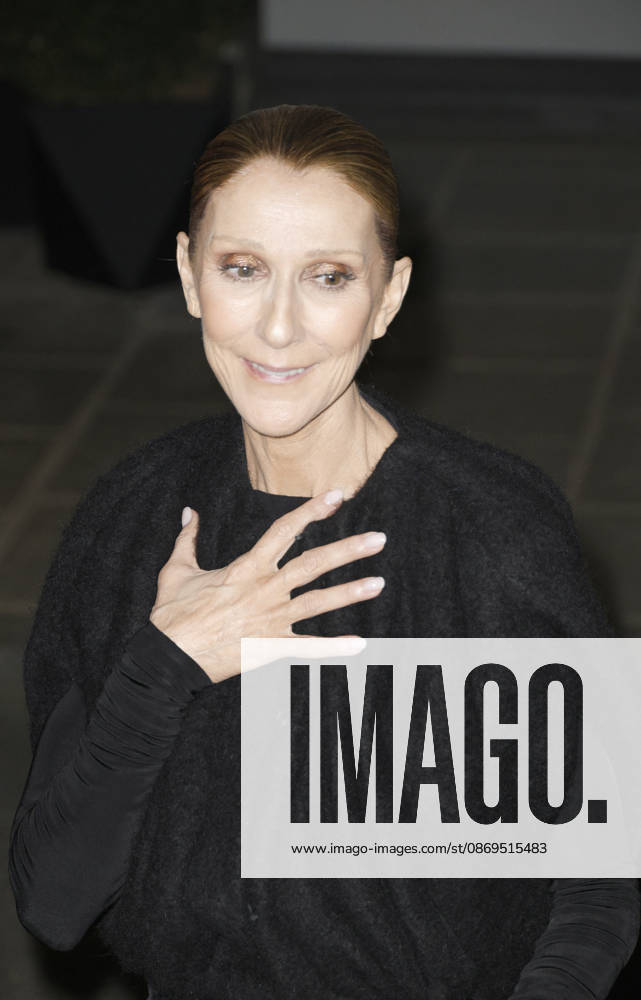 Céline Dion greets her fans as she arrives at the Royal Monceau hotel in Paris after her concert at the Plénitude Arena in Paris La Défense on October 14, 2026. Christophe Aubert, Bestimage. Céline Dion greets her fans as she arrives at the Royal Monceau hotel in Paris after her concert at the Plénitude Arena in Paris La Défense on October 14, 2026, Paris, France