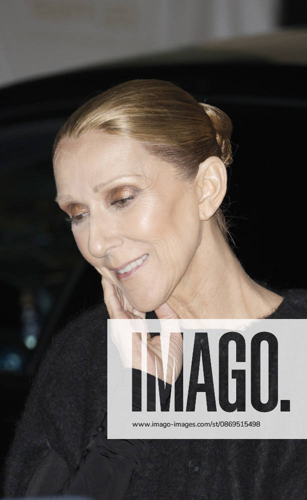 Céline Dion greets her fans as she arrives at the Royal Monceau hotel in Paris after her concert at the Plénitude Arena in Paris La Défense on October 14, 2026. Christophe Aubert, Bestimage. Céline Dion greets her fans as she arrives at the Royal Monceau hotel in Paris after her concert at the Plénitude Arena in Paris La Défense on October 14, 2026, Paris, France
