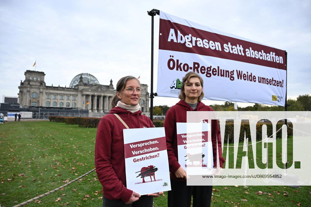 Rally calls for dairy cow pasture subsidy in Berlin BERLIN, GERMANY – OCTOBER 15: People protest in front of the German Bundestag for the introduction of a planned eco-scheme to support pasture-based dairy farming, in Berlin, Germany, 15 October 2026. The Bundestag is scheduled to debate a draft bill that would scrap the proposed subsidy. The protest is part of a week of action highlighting the importance of pasture-based livestock farming. Volodymyr Sindieiev Anadolu Berlin Germany. Editorial use only. Please get in touch for any other usage.