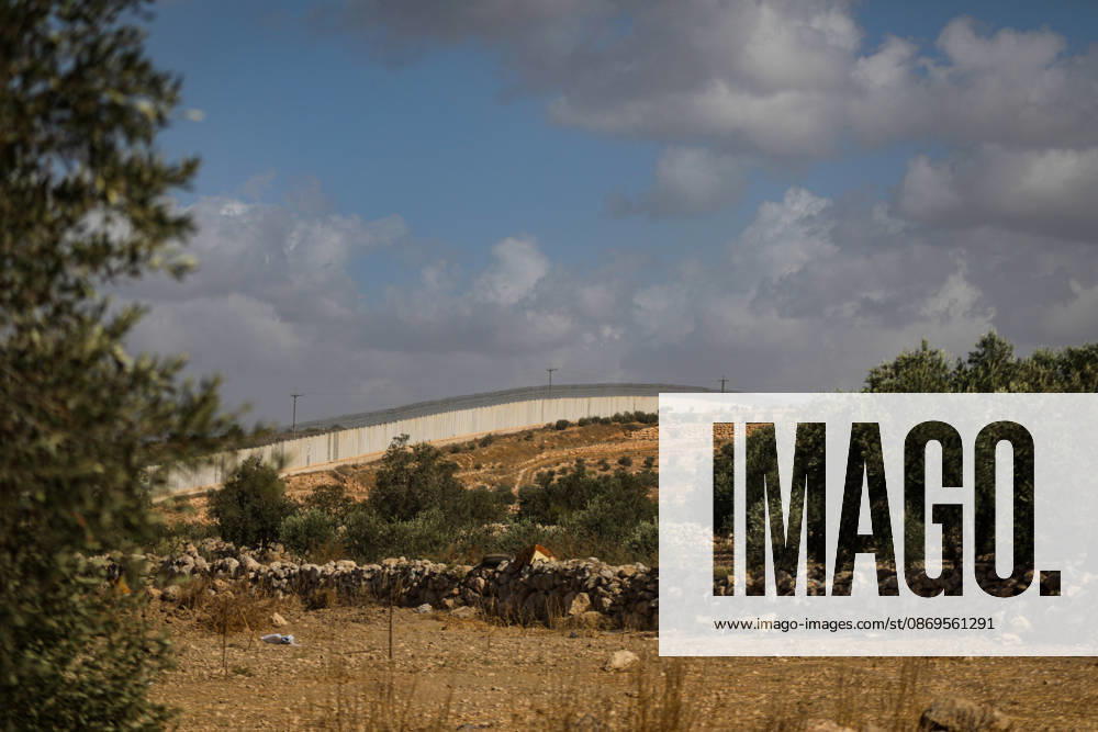 Palestinian Farmers Harvest Olives Near Barrier West of Hebron Palestinian farmers pick olives during the harvest season in a field in the village of Beit Awwa, west of Hebron, in the occupied West Bank, on October 15, 2026, near the Israeli separation barrier. Photo by Mamoun Wazwaz apaimages Hebron West Bank Palestinian Territory 151026_Hebron_MW_00(24)