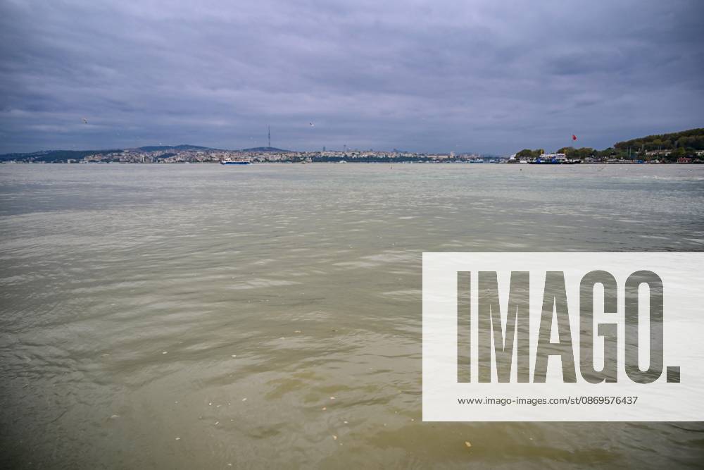 Rain turns waters brown along Istanbul strait ISTANBUL, TURKIYE - OCTOBER 15: Brown-colored water is visible along parts of the Istanbul Strait shoreline and the Golden Horn following heavy rain in the city, on October 15, 2026 in Istanbul, Turkiye. The change in water color was observed in several coastal areas after the downpour. Cem Tekkesinoglu Anadolu Istanbul Turkey. Editorial use only. Please get in touch for any other usage.