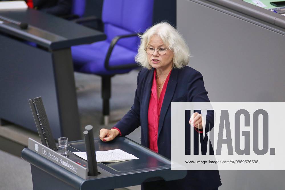 German Bundestag 102nd Session of the Bundestag Kirsten Kappert Gonther, The Greens