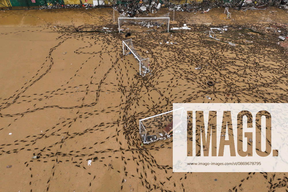 Aftermath of heavy rain in Istanbul ISTANBUL, TURKIYE - OCTOBER 16: An aerial view of mud-covered football fields and ongoing cleanup efforts at Ayazaga Sports Facilities in Istanbul, Turkiye, on October 16, 2026. Cleanup operations continue in areas affected by flooding and heavy rainfall that struck the city on October 14. Hakan Akgun Anadolu Istanbul Turkey. Editorial use only. Please get in touch for any other usage.
