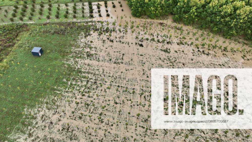 Heavy rains hit Duzce, Turkiye DUZCE, TURKIYE - OCTOBER 16: An aerial view shows floodwaters from the overflowing Melen River covering agricultural land near Demiracma village as heavy rain continues in the Akcakoca and Kocaali areas, on October 16, 2026 in Duzce, Turkiye. The river, which flows into the Black Sea, reached some residential areas after overflowing its banks. At Melenagzi Harbor, four small fishing boats reportedly capsized and drifted out to sea, while three others sank inside the harbor. Omer Urer Anadolu Duzce Turkey. Editorial use only. Please get in touch for any other usage.