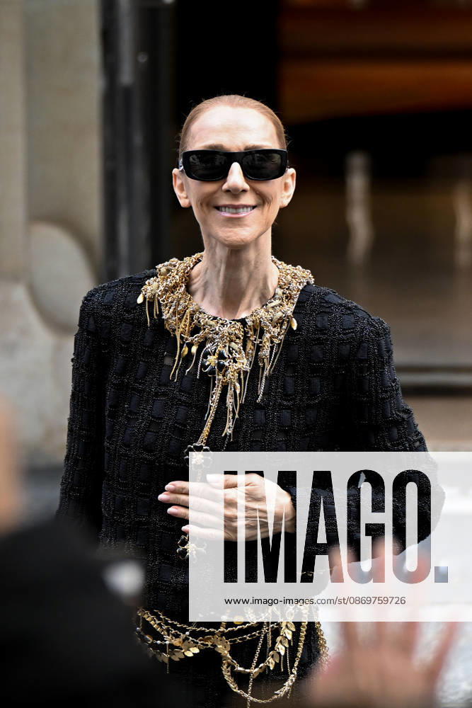 Céline Dion spends time with her fans outside her hotel in Paris. Céline Dion spends time with fans before heading to the venue, the Royal Monceau Hotel in Paris, France 460538 2026 10 17 Paris France Dion, Céline