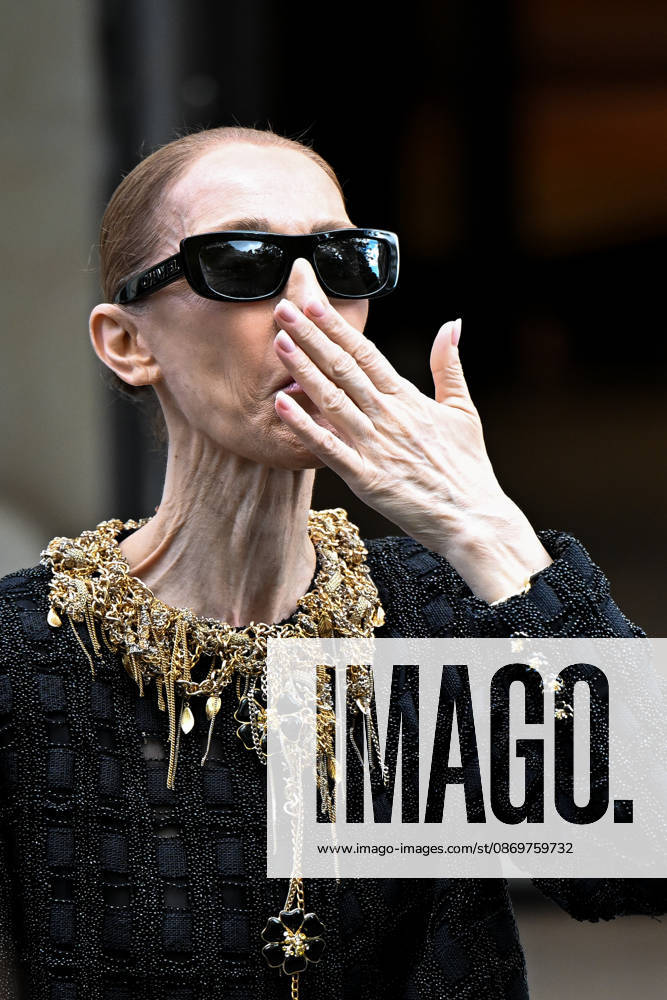 Céline Dion spends time with her fans outside her hotel in Paris. Céline Dion spends time with fans before heading to the venue, the Royal Monceau Hotel in Paris, France 460538 2026 10 17 Paris France Dion, Céline