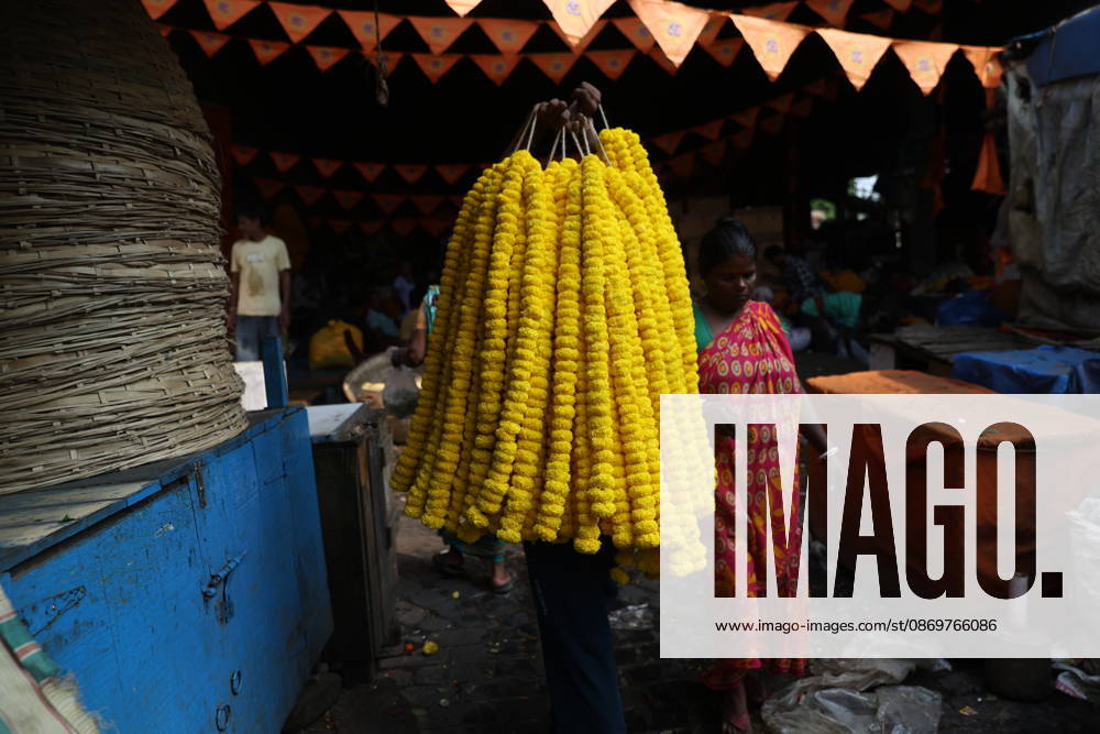 Flower Market In Kolkata, India, A laborer carries garlands of marigold flowers to a wholesale flower market in Kolkata, India, on October 17, 2026, where they are used for worship of Durga idols and to decorate temples during the Hindu festival of Durga Puja. Kolkata India