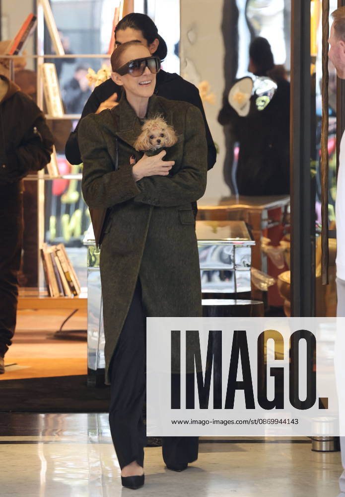 Céline Dion leaves the Royal Monceau hotel with her sons Nelson and Eddy and her dog the day after her final concert in Paris on October 19, 2026. Cyril Moreau, Bestimage. Céline Dion leaves the Royal Monceau hotel with her sons Nelson and Eddy and her dog, the day after her final concert in Paris on October 19, 2026, Paris, France