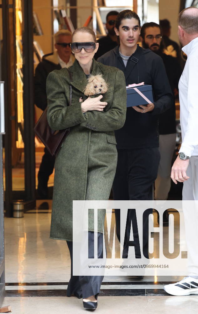 Céline Dion leaves the Royal Monceau hotel with her sons Nelson and Eddy and her dog the day after her final concert in Paris on October 19, 2026. Cyril Moreau, Bestimage. Céline Dion leaves the Royal Monceau hotel with her sons Nelson and Eddy and her dog, the day after her final concert in Paris on October 19, 2026, Paris, France