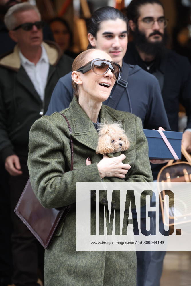 Céline Dion leaves the Royal Monceau hotel with her sons Nelson and Eddy and her dog the day after her final concert in Paris on October 19, 2026. Cyril Moreau, Bestimage. Céline Dion leaves the Royal Monceau hotel with her sons Nelson and Eddy and her dog, the day after her final concert in Paris on October 19, 2026, Paris, France