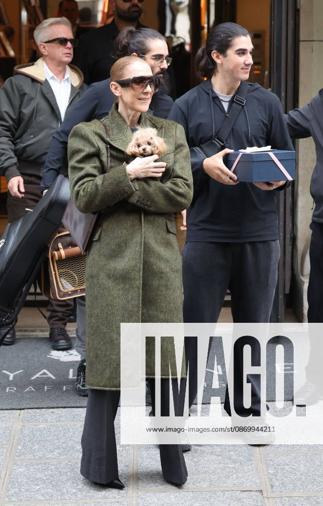 Céline Dion leaves the Royal Monceau hotel with her sons Nelson and Eddy and her dog the day after her final concert in Paris on October 19, 2026. Cyril Moreau, Bestimage. Céline Dion leaves the Royal Monceau hotel with her sons Nelson and Eddy and her dog, the day after her final concert in Paris on October 19, 2026, Paris, France