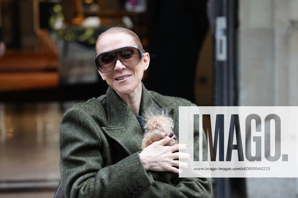 Céline Dion leaves the Royal Monceau hotel with her sons Nelson and Eddy and her dog the day after her final concert in Paris on October 19, 2026. Cyril Moreau, Bestimage. Céline Dion leaves the Royal Monceau hotel with her sons Nelson and Eddy and her dog, the day after her final concert in Paris on October 19, 2026, Paris, France