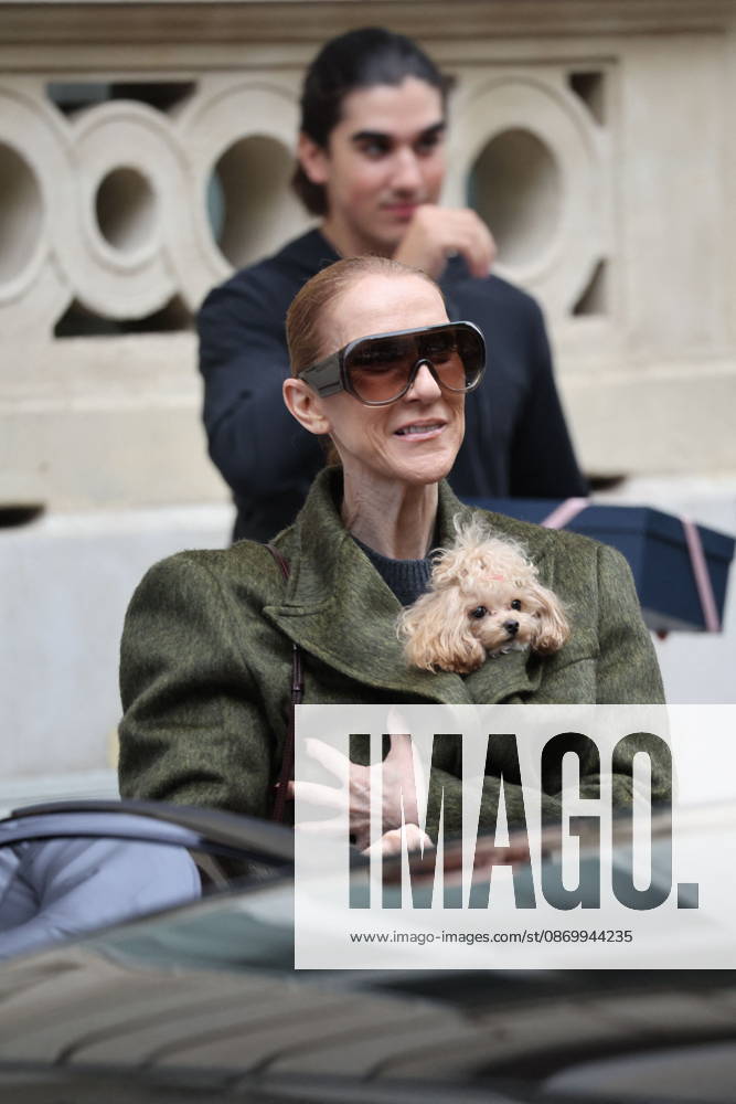 Céline Dion leaves the Royal Monceau hotel with her sons Nelson and Eddy and her dog the day after her final concert in Paris on October 19, 2026. Cyril Moreau, Bestimage. Céline Dion leaves the Royal Monceau hotel with her sons Nelson and Eddy and her dog, the day after her final concert in Paris on October 19, 2026, Paris, France
