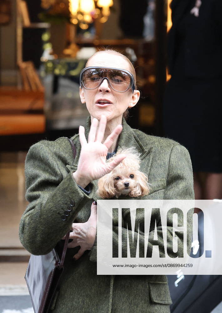 Céline Dion leaves the Royal Monceau hotel with her sons Nelson and Eddy and her dog the day after her final concert in Paris on October 19, 2026. Cyril Moreau, Bestimage. Céline Dion leaves the Royal Monceau hotel with her sons Nelson and Eddy and her dog, the day after her final concert in Paris on October 19, 2026, Paris, France
