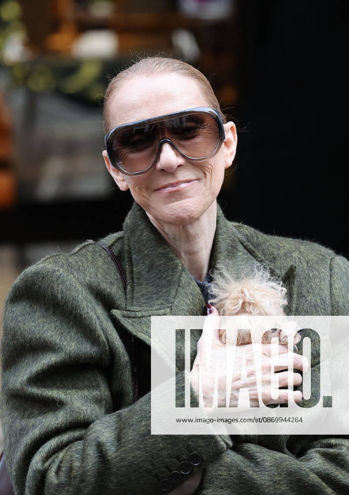 Céline Dion leaves the Royal Monceau hotel with her sons Nelson and Eddy and her dog the day after her final concert in Paris on October 19, 2026. Cyril Moreau, Bestimage. Céline Dion leaves the Royal Monceau hotel with her sons Nelson and Eddy and her dog, the day after her final concert in Paris on October 19, 2026, Paris, France