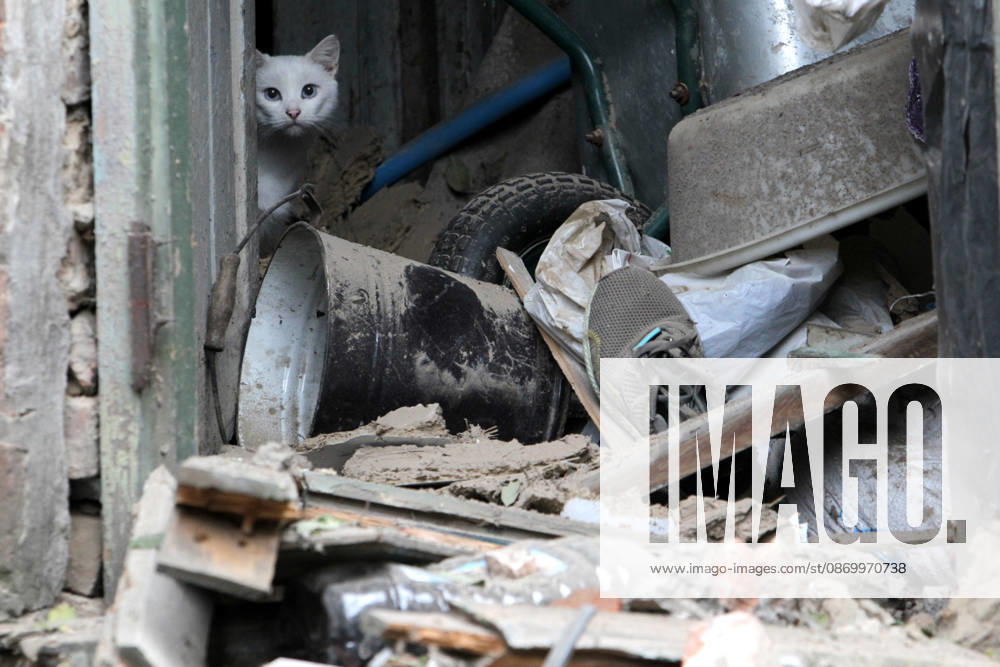 Russian troops hit Dnipro with guided bombs A white cat peeks out from behind a door in a building damaged by a Russian bombardment in Dnipro, Ukraine, on October 19, 2026. On Monday morning, Russian forces launched guided aerial bombs at the eastern city, damaging private homes and infrastructure. An 84-year-old woman was hospitalised in moderate condition. Dnipro Ukraine