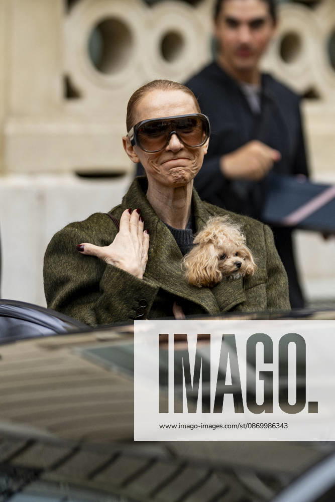 Céline Dion, accompanied by her sons Eddy and Nelson Angelil, leaves the Royal Monceau hotel for La Plenitude Arena in Paris after 16 concerts over five weeks in front of nearly 500,000 people, on October 19, 2026. Holding her dog, Madison, in her arms, the Canadian singer waved one last time to her fans gathered in front of the hotel. She will return to the Paris La Défense Arena for 10 special concerts from May 8 to 29, 2027. Pierre Perusseau Bestimage Céline Dion, accompanied by her sons Eddy and Nelson Angelil, leaves the Royal Monceau luxury hotel in Paris on October 19, 2026, following 16 concerts over five weeks performed before nearly 500,000 people. Holding her dog, Madison, in her arms, the Canadian singer waved one last time to