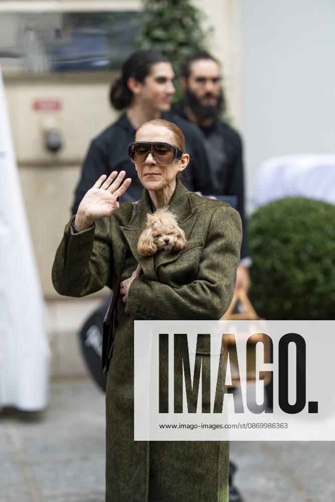 Céline Dion, accompanied by her sons Eddy and Nelson Angelil, leaves the Royal Monceau hotel for La Plenitude Arena in Paris after 16 concerts over five weeks in front of nearly 500,000 people, on October 19, 2026. Holding her dog, Madison, in her arms, the Canadian singer waved one last time to her fans gathered in front of the hotel. She will return to the Paris La Défense Arena for 10 special concerts from May 8 to 29, 2027. Pierre Perusseau Bestimage Céline Dion, accompanied by her sons Eddy and Nelson Angelil, leaves the Royal Monceau luxury hotel in Paris on October 19, 2026, following 16 concerts over five weeks performed before nearly 500,000 people. Holding her dog, Madison, in her arms, the Canadian singer waved one last time to