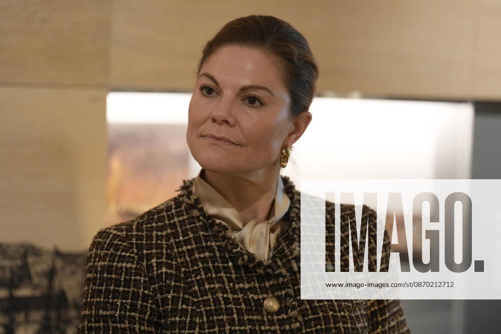 Latvia Sweden Crown Princess Victoria Sweden s Crown Princess Victoria reacts during her meeting with Latvian President Edgars Rinkevics at Riga Castle in Riga, Latvia, October 21, 2026, during her working visit to Latvia. Riga Latvia